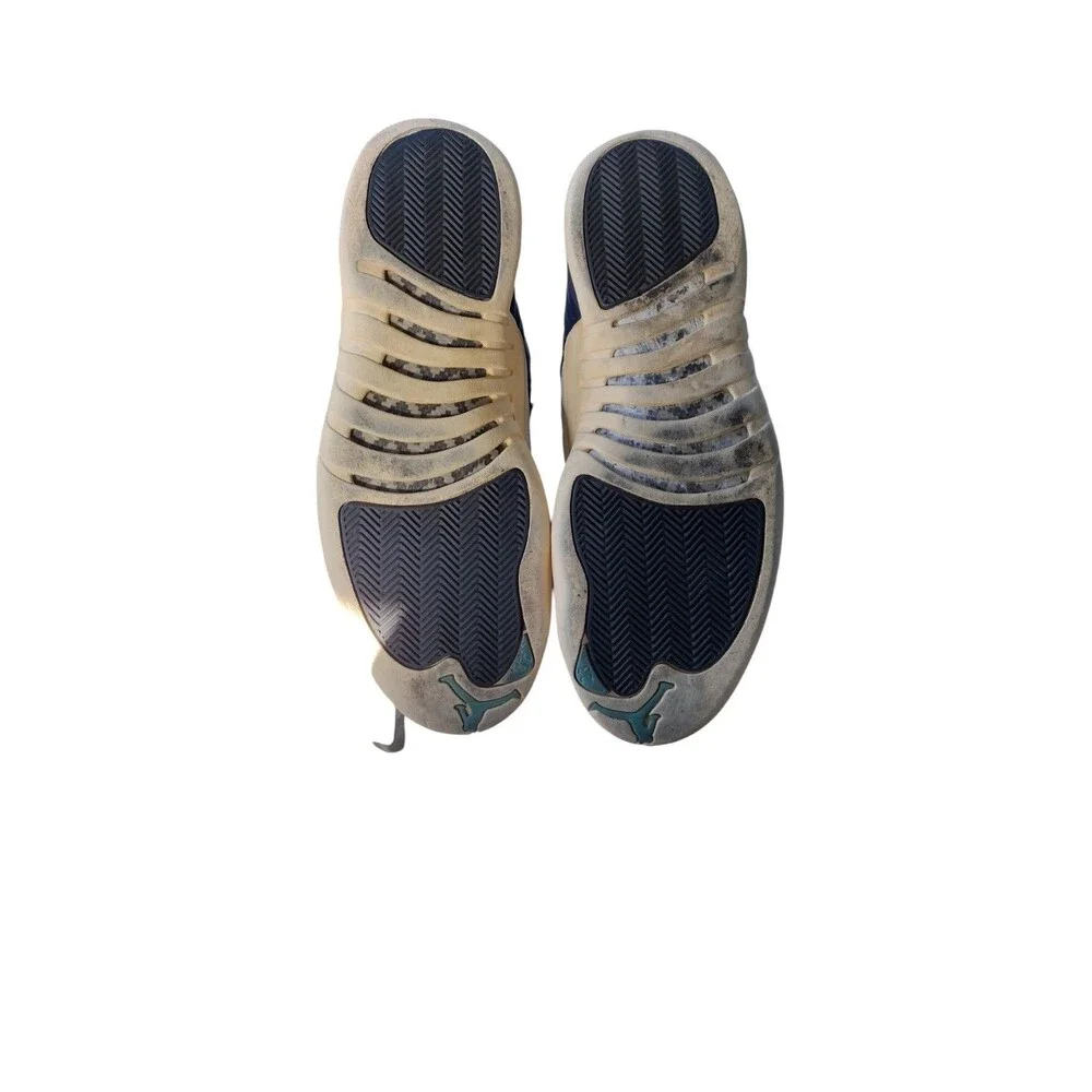 Air Jordan 12 Retro 